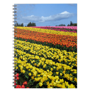 Farbige Tulpenreihen Notizblock