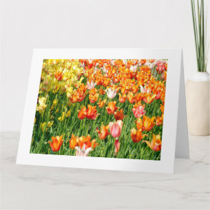 farbige und lebendige Tulpen Karte