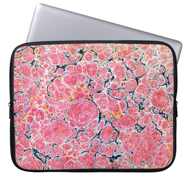 Farbige Viktorianische Papierabdeckung Laptopschutzhülle (Vorderseite)