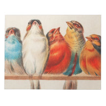 Farbige Vintage Darstellung von fünf kleinen Vögel