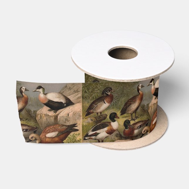 Farbige Vintage Entenmalerei Satinband (Spule)