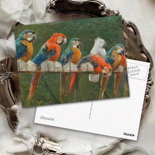 Farbige Vintage-Papageien Postkarte