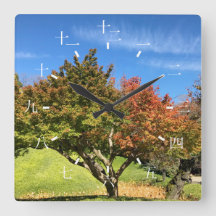 Farbiger Ahornbaum im Herbst