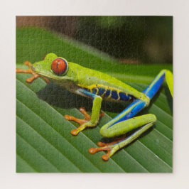 Farbiger Baumfrosch