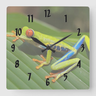 Farbiger Baumfrosch Quadratische Wanduhr