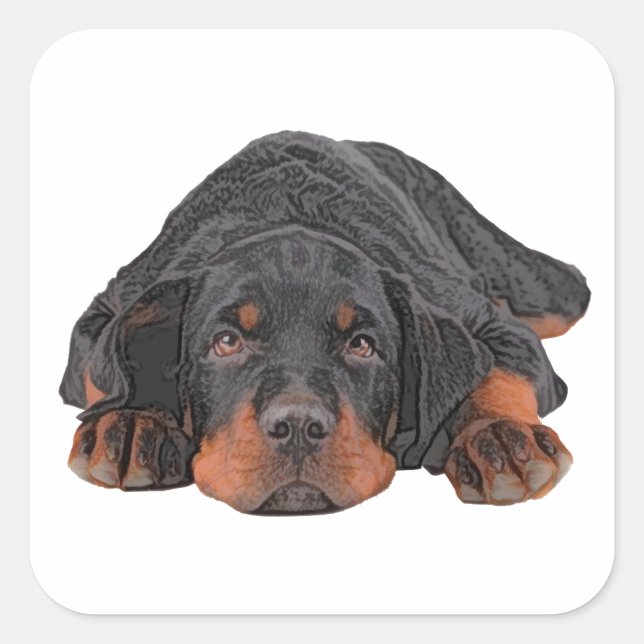 Farbiger Bleistift Zeichnend Rottweiler-Welpenauge Quadratischer Aufkleber (Vorderseite)