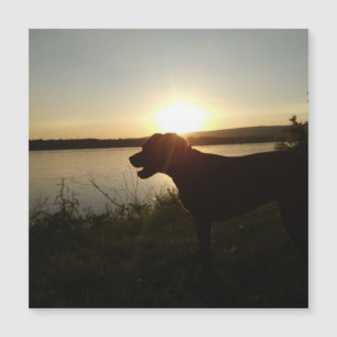 Farbiger Designmagnet Magnetkarte