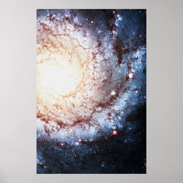 Farbiger Kosmos Poster (Vorne)