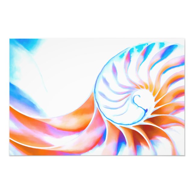 Farbiger Nautilus Fotodruck (Vorne)