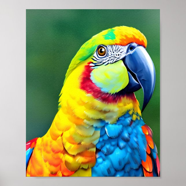 Farbiger Papagei auf grünem Hintergrund Poster (Vorne)