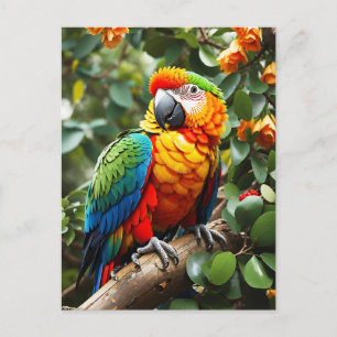 Farbiger Papagei Postkarte