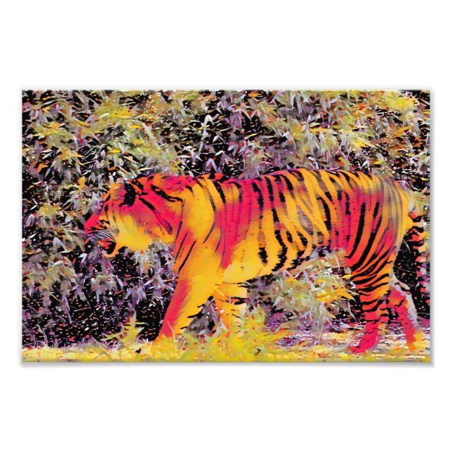 Farbiger Tiger Fotodruck (Vorne)