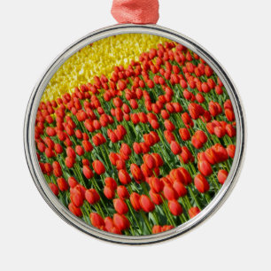 Farbiger Tulpenhalter Ornament Aus Metall