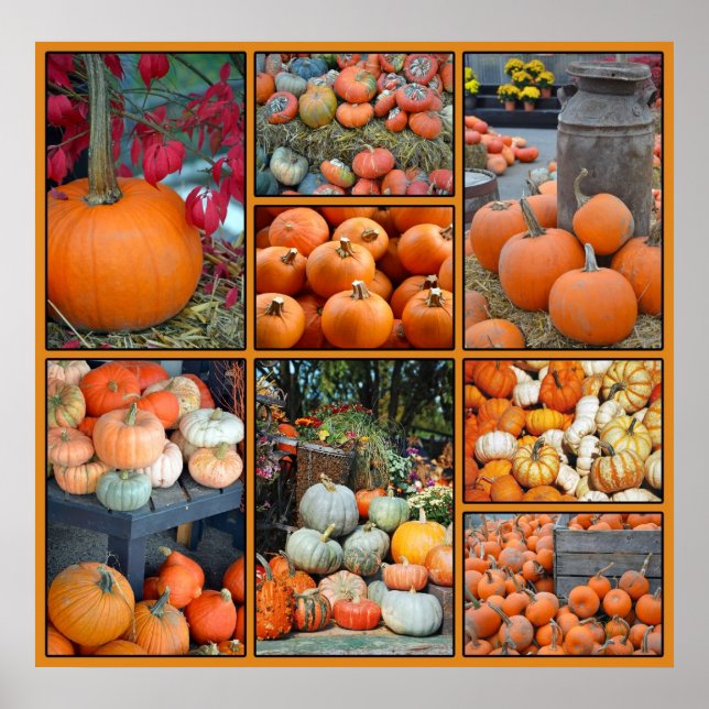 Farbiges Kürbiskürbis-Collage-Poster Poster (Vorne)