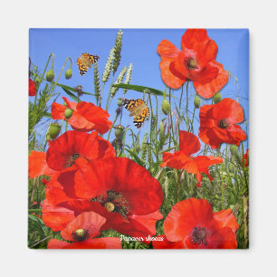 Farbiges Mohnfeld Magnet