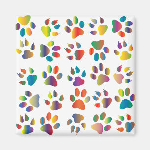 farbiges Pfotenmuster Magnet