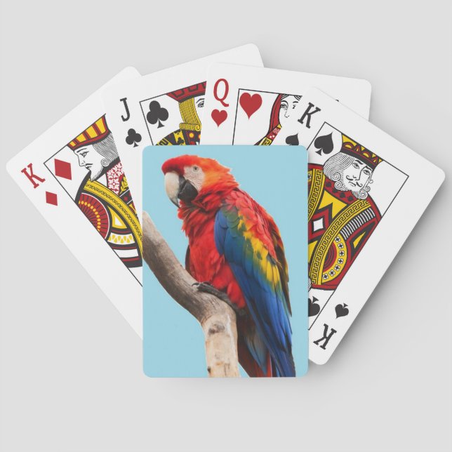 Farbiges Portrait-Foto Spielkarten (Rückseite)