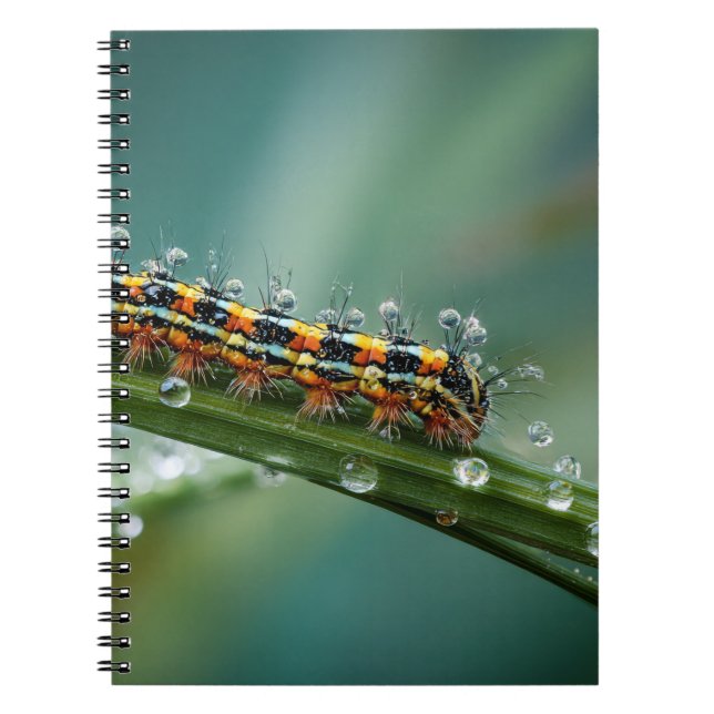 Farbiges Raupe Dead Notebook Notizblock (Vorderseite)