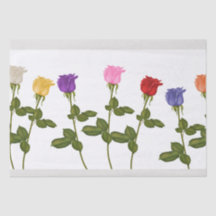 Farbiges Sortiment an Rose