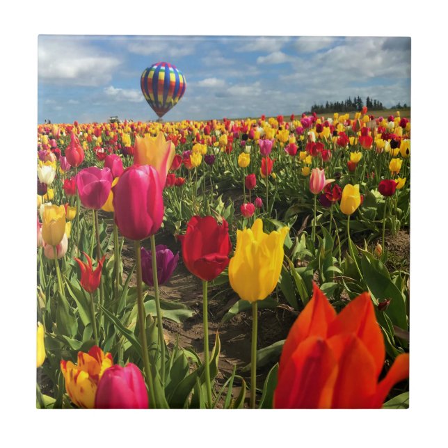 Farbiges Tulip Feld mit Ballon Fliese (Vorderseite)