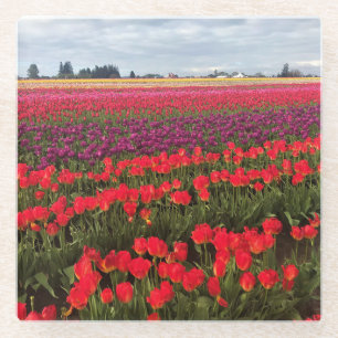 Farbiges Tulip Field, Waldbrand, Oregon Glasuntersetzer