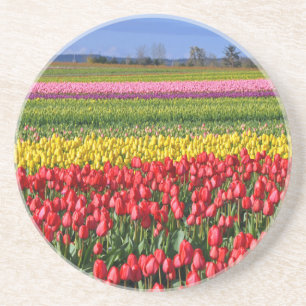 Farbiges Tulpenfeld Sandstein Untersetzer