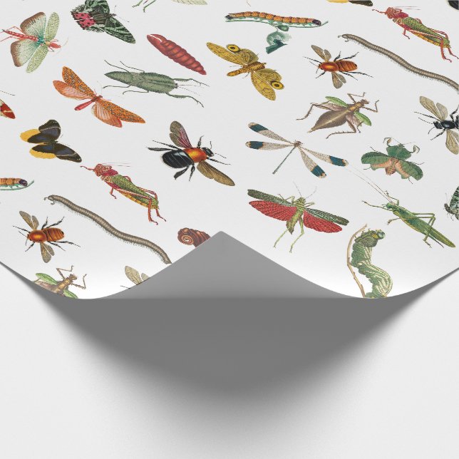 Farbiges Vintages Insektenbild Geschenkpapier (Ecke)