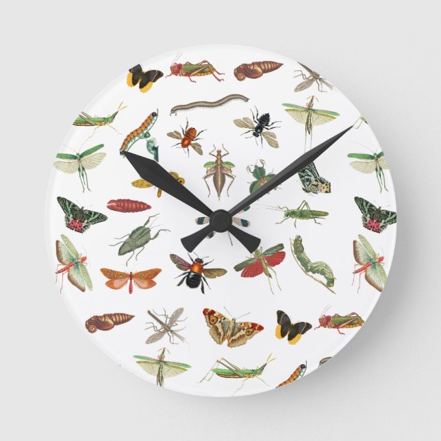 Farbiges Vintages Insektenbild Runde Wanduhr (Vorderseite)