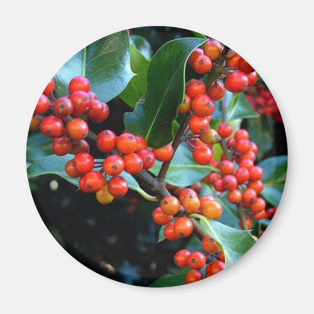 farbiges Wintergeschenk Magnet (Vorne)