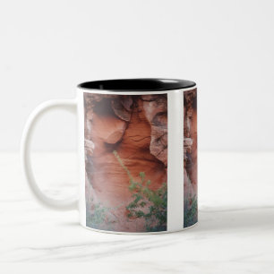 Farbkontraste, Tal des Feuers Zweifarbige Tasse