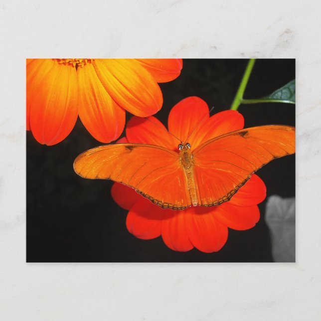 farbkoordiniert postkarte (Vorderseite)