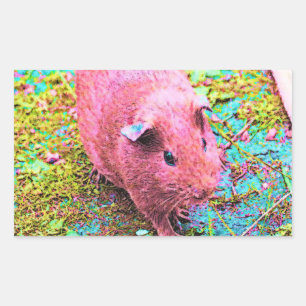 Farblackiertes Guinea Rechteckiger Aufkleber