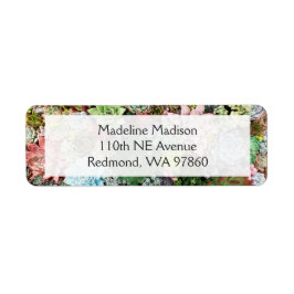 Farbliche Sukkulente