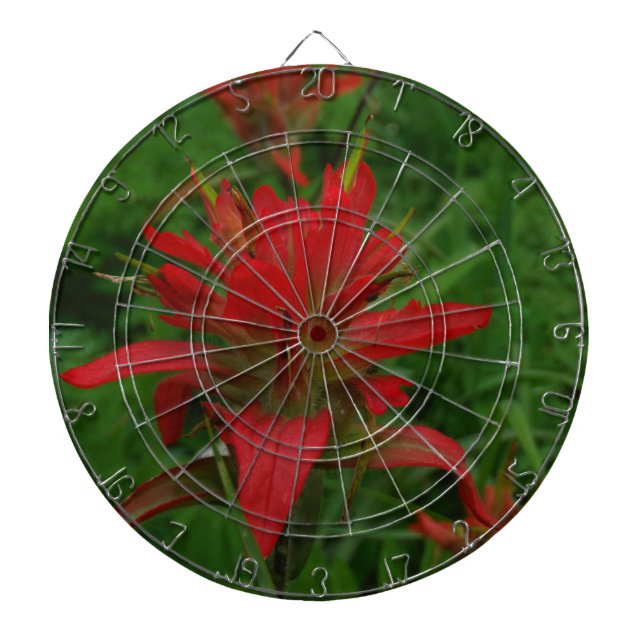 Farbpinsel Dartscheibe (vorne)