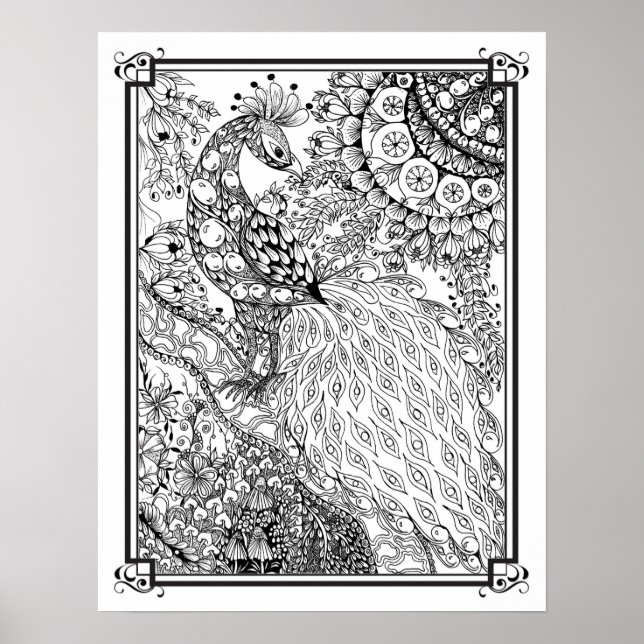 Farbposter "MrsDees Majestic Peacock" Poster (Vorne)