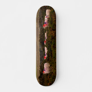 Farbschaf Skateboard