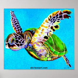 Farbschildkröte Poster