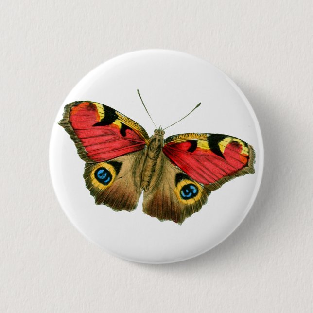 Farbschmetterling Button (Vorderseite)