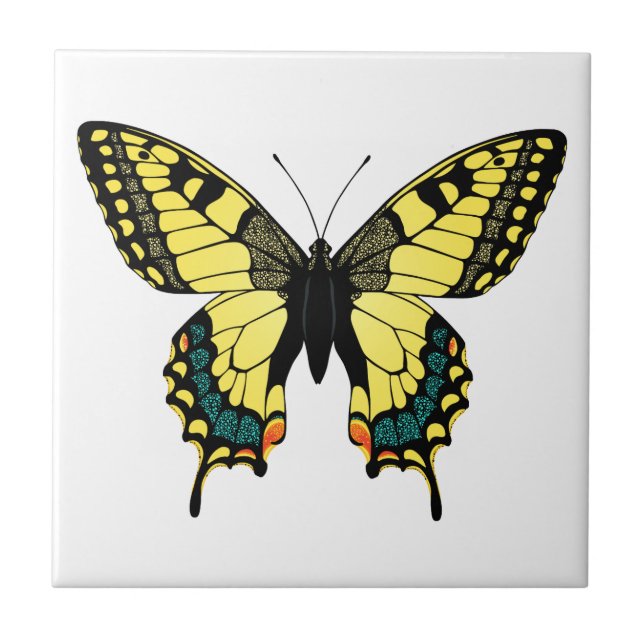 Farbschmetterling Fliese (Vorderseite)