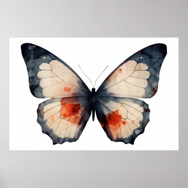 Farbschmetterling Poster (Vorne)