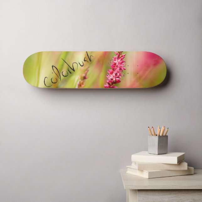 Farbstrauch Skateboard (Wandkunst (Horz))