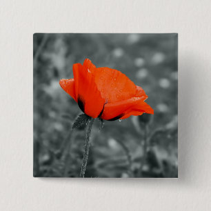 Farbtaste Poppy-Taste Button