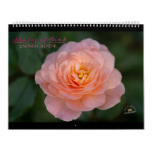 Farbtöne des 12-monatigen rosa Kalenders