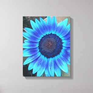 Farbtöne von blauer Sonnenblume gezapftes Leinwand