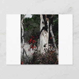 Farbtupfer Postkarte