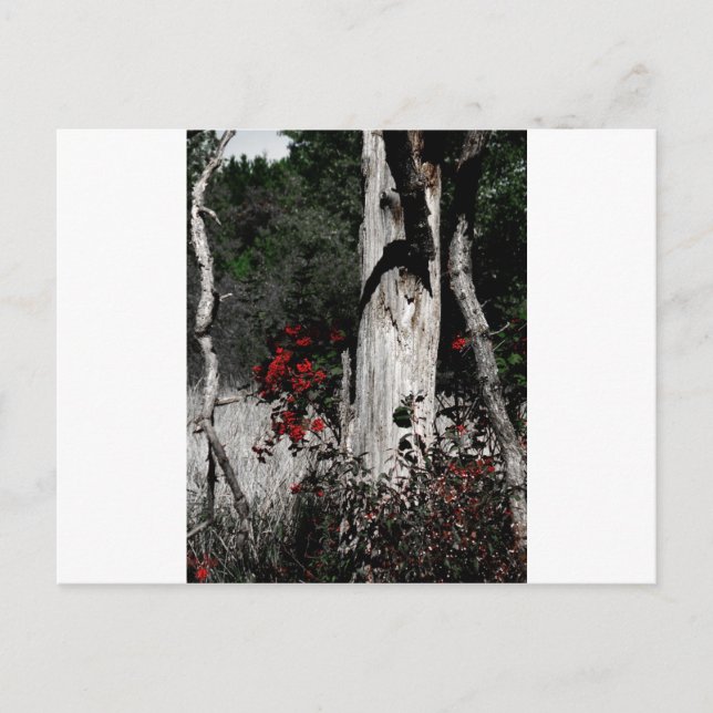 Farbtupfer Postkarte (Vorderseite)