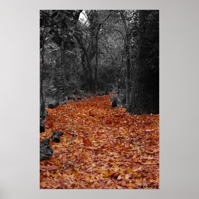 Farbweg Poster (Vorne)