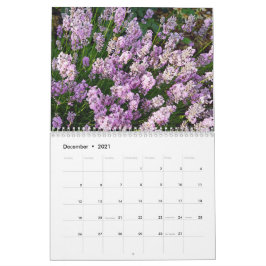 Farbzauber Lavendel Kalender