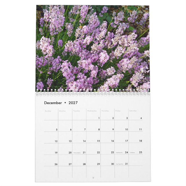 Farbzauber Lavendel Kalender (Dez 2027)