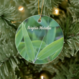 Fargesia murielae Bamboo Pflanze für Gärtner Keramik Ornament